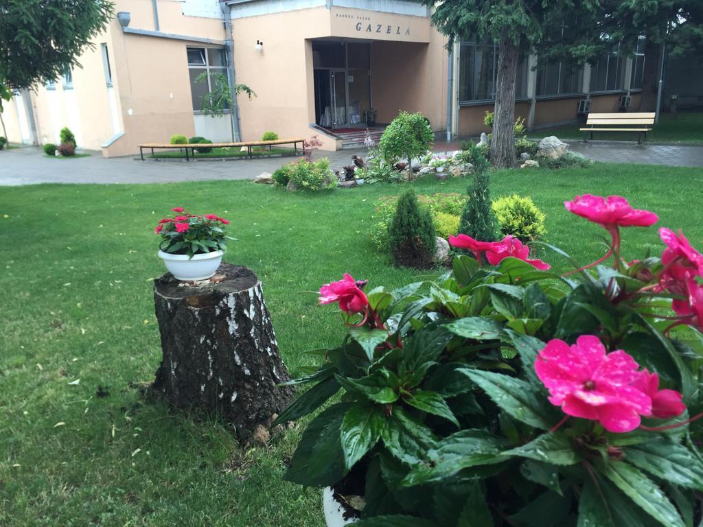 Bed and Breakfast Prenociste Gazela Pirot Exterior foto