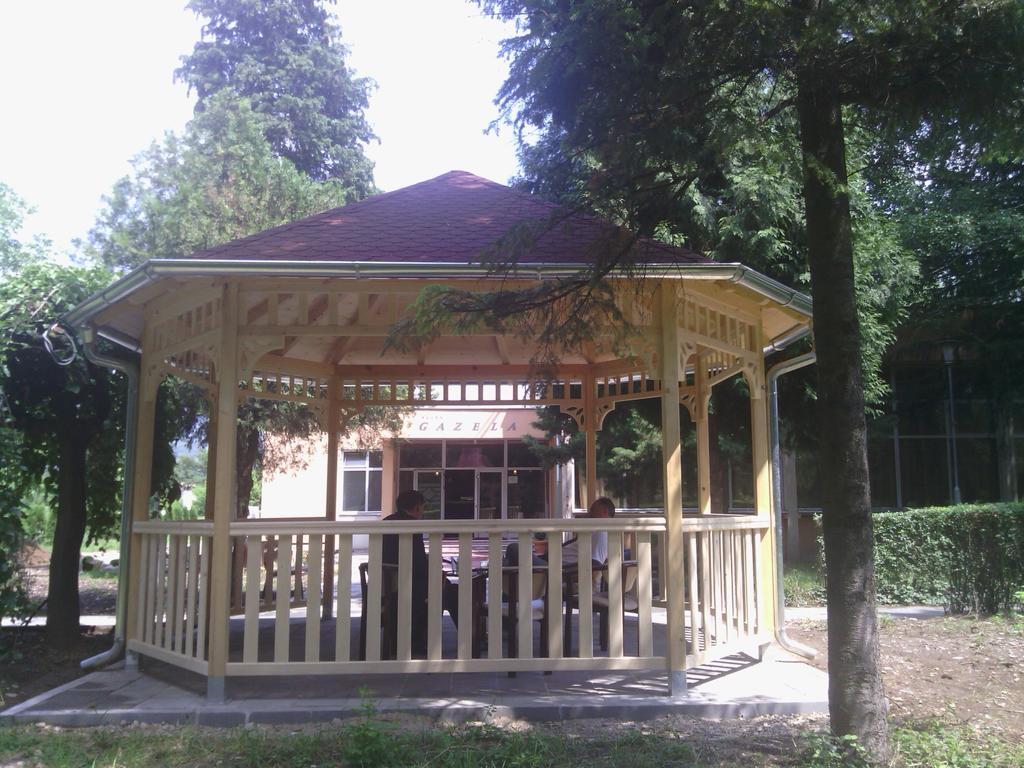 Bed and Breakfast Prenociste Gazela Pirot Exterior foto