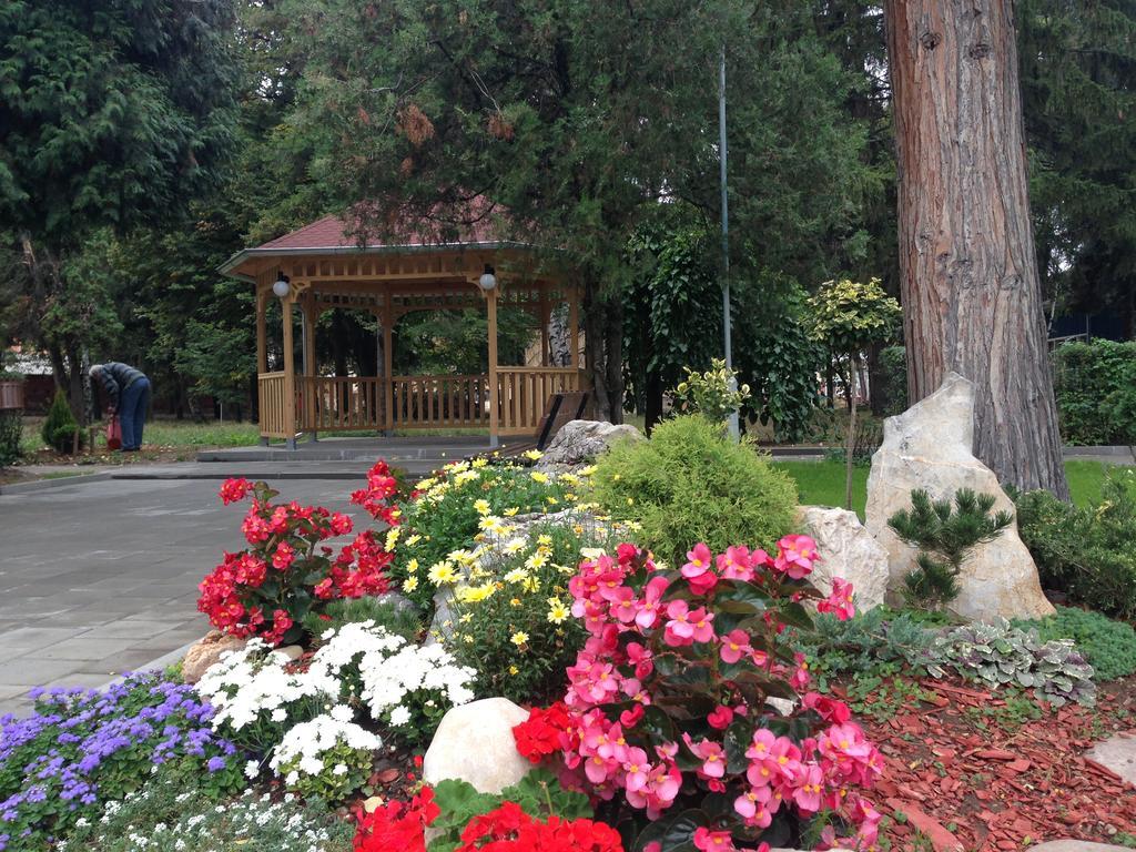 Bed and Breakfast Prenociste Gazela Pirot Exterior foto